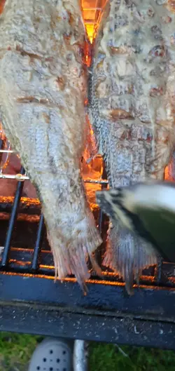 Yummy food