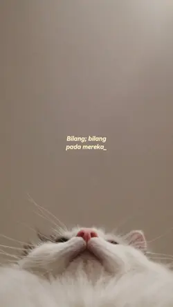 Bilang pada mereka