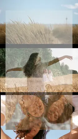 Wheat field 