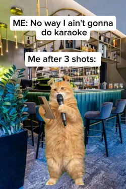 Singing cat