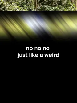 no no