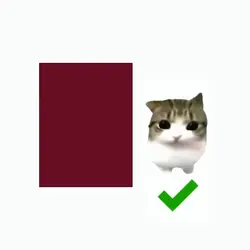 Dam Dam Di Di Cat