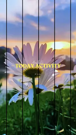 Today activity 