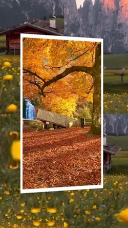 Video template 