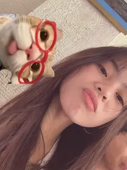 can move the cat