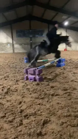 slow motion 🐴❤️