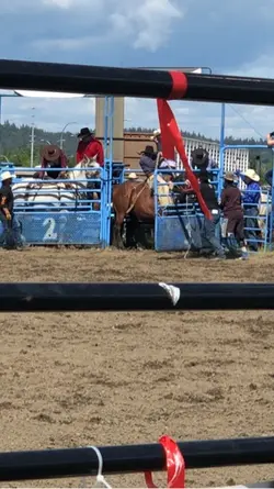 Bronc riding