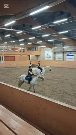 Älskade du