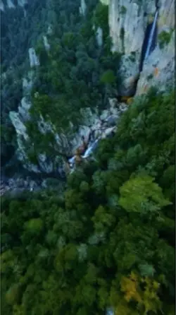7 videos