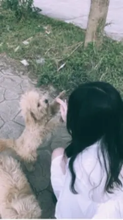 Cutes