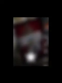 Anti-Gaymenia