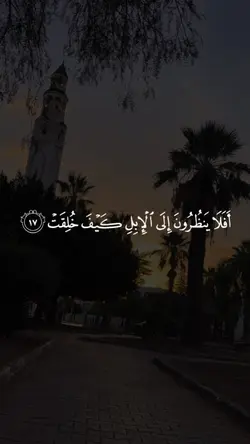 الابل كيف خلقت
