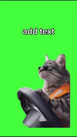 chat conduit
