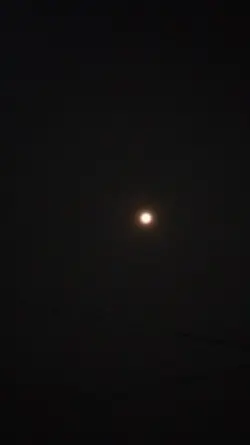 Bulan malam