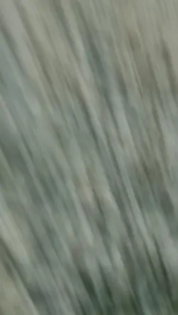 slow motion
