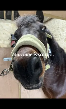 Marriage is scary ..