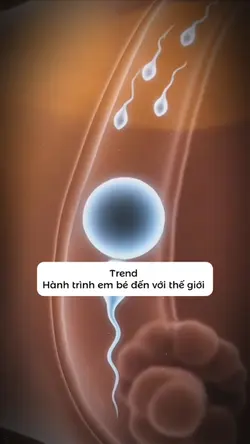 Em bé của mẹ