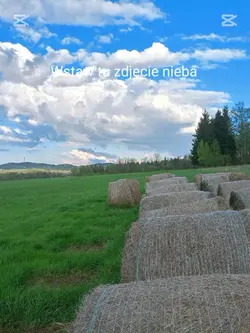 niebo 