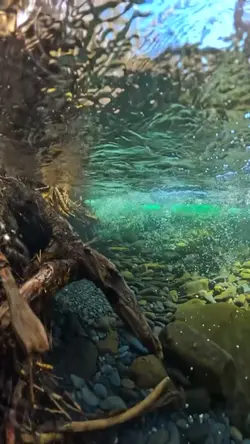 UNDERWATER