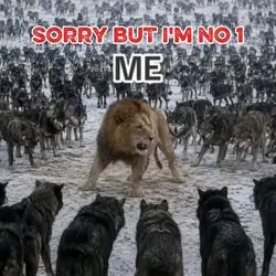 I Am No 1