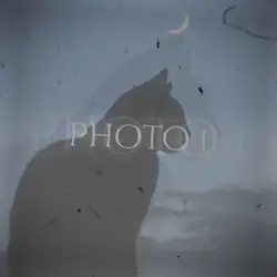 Edit