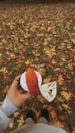October Dump 🍂🍁☕️