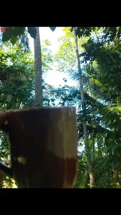 JAZZ COFFEE