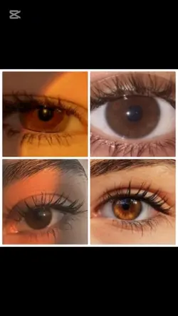 BROWN EYES