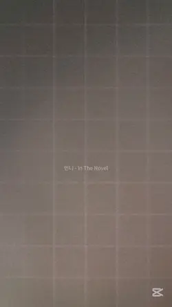 in The Novel