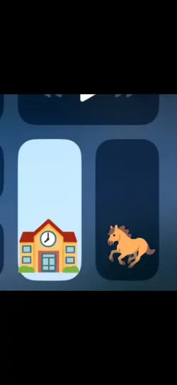 les poney et chevaux
