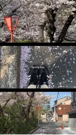 春の風景を動画に収めよう！！
