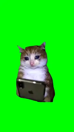 CAT CRYING
