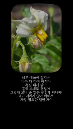 글템플릿 