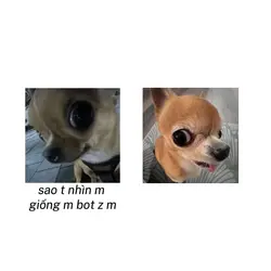 bot hả mại