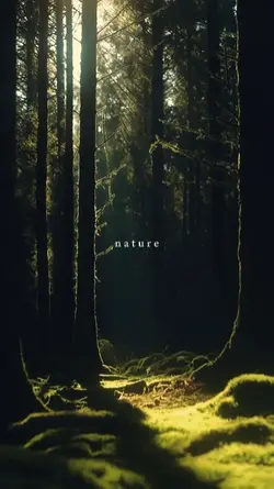 nature 