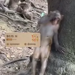 ខ្ញុំឈឺក្បាលណាស់