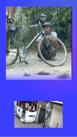 Layar hijau 