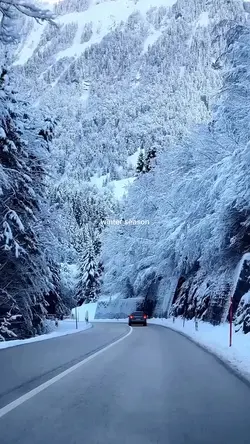 winter season