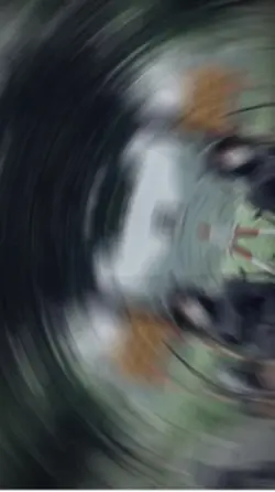 1 ảnh