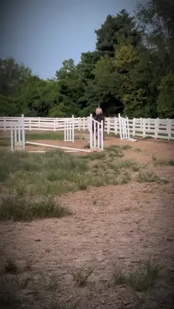 Walllyyyy