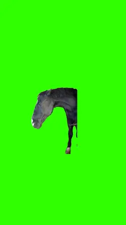 Cheval Side Eye
