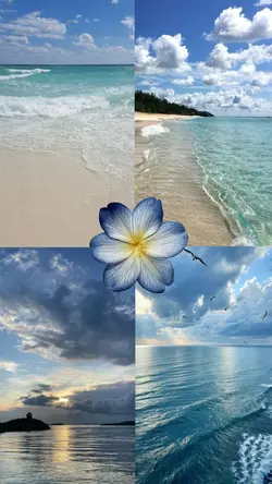 Beach photo