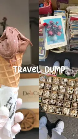 Travel Dump