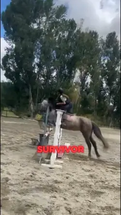 I'm a survivor