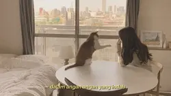 mimpi