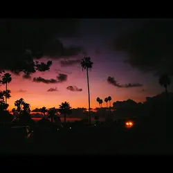 Runaway
