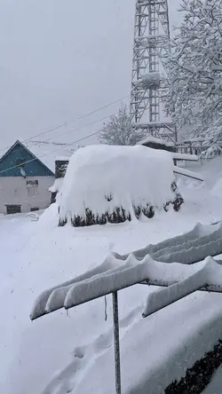 Snow template