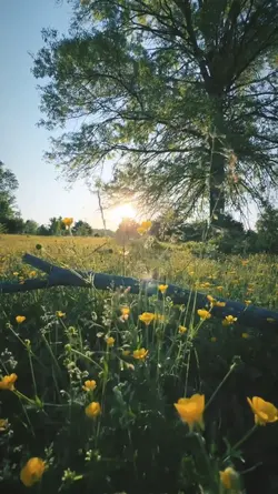 aesthetic vlog