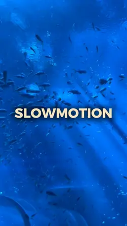 Slow nhạc siêu cuốn