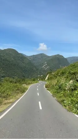 Vlog